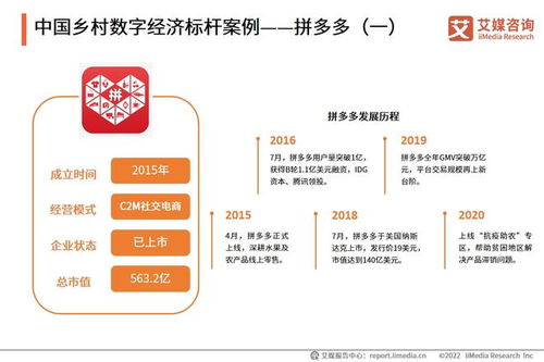 2022年中國鄉(xiāng)村數字經濟發(fā)展專題研究報告